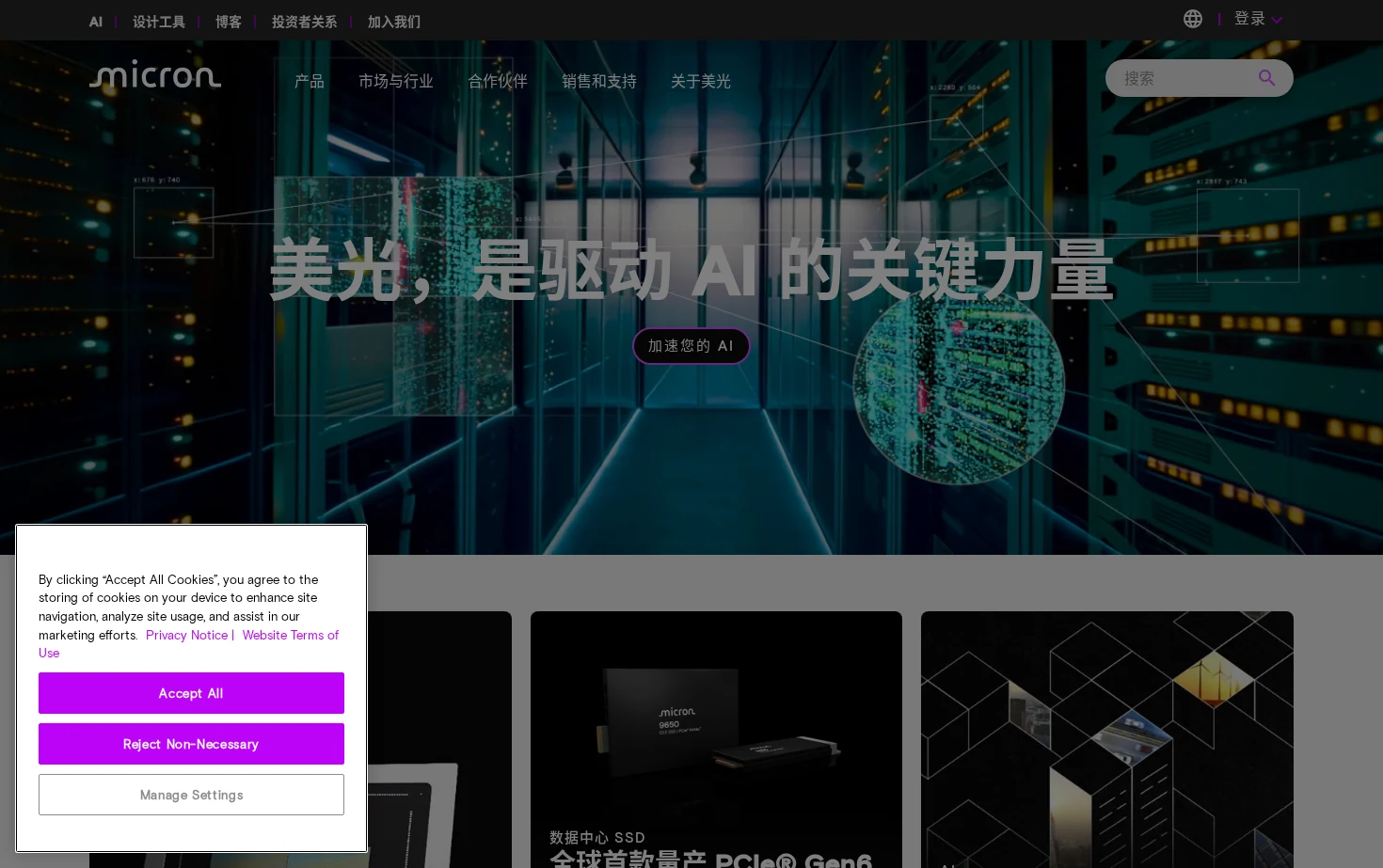 美光科技 页面快照